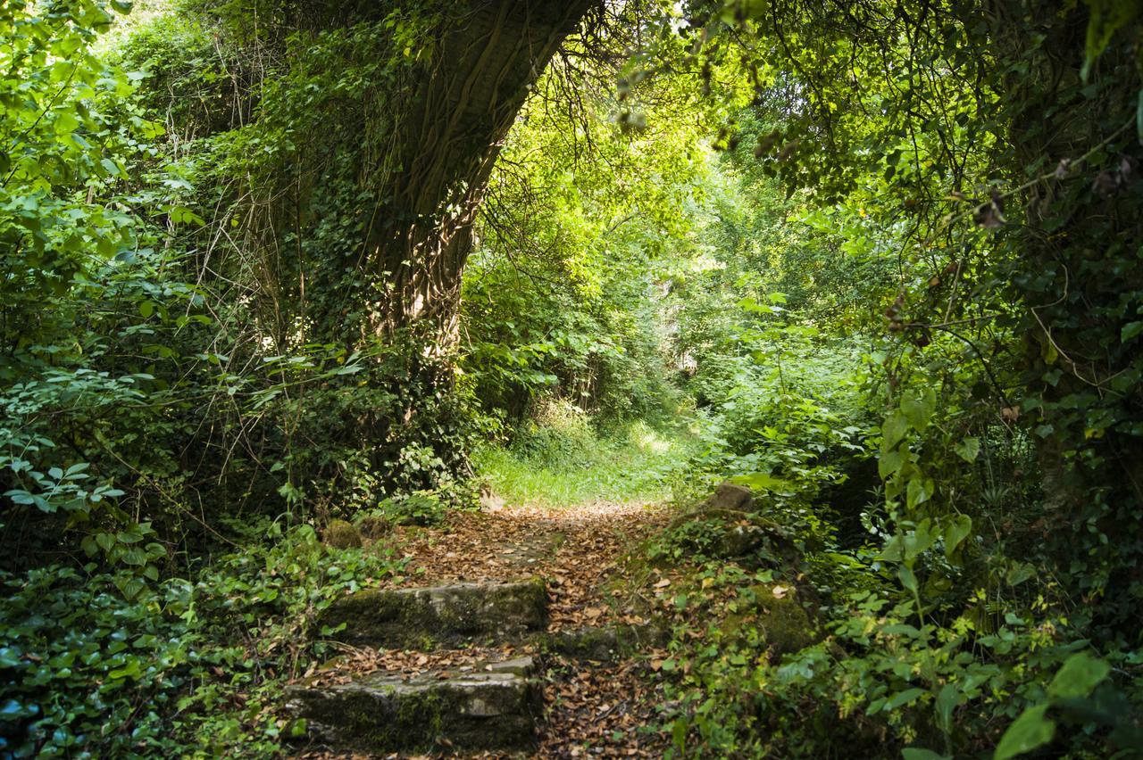 Bed and Breakfast Secret Gardens Borgomaro Exteriér fotografie