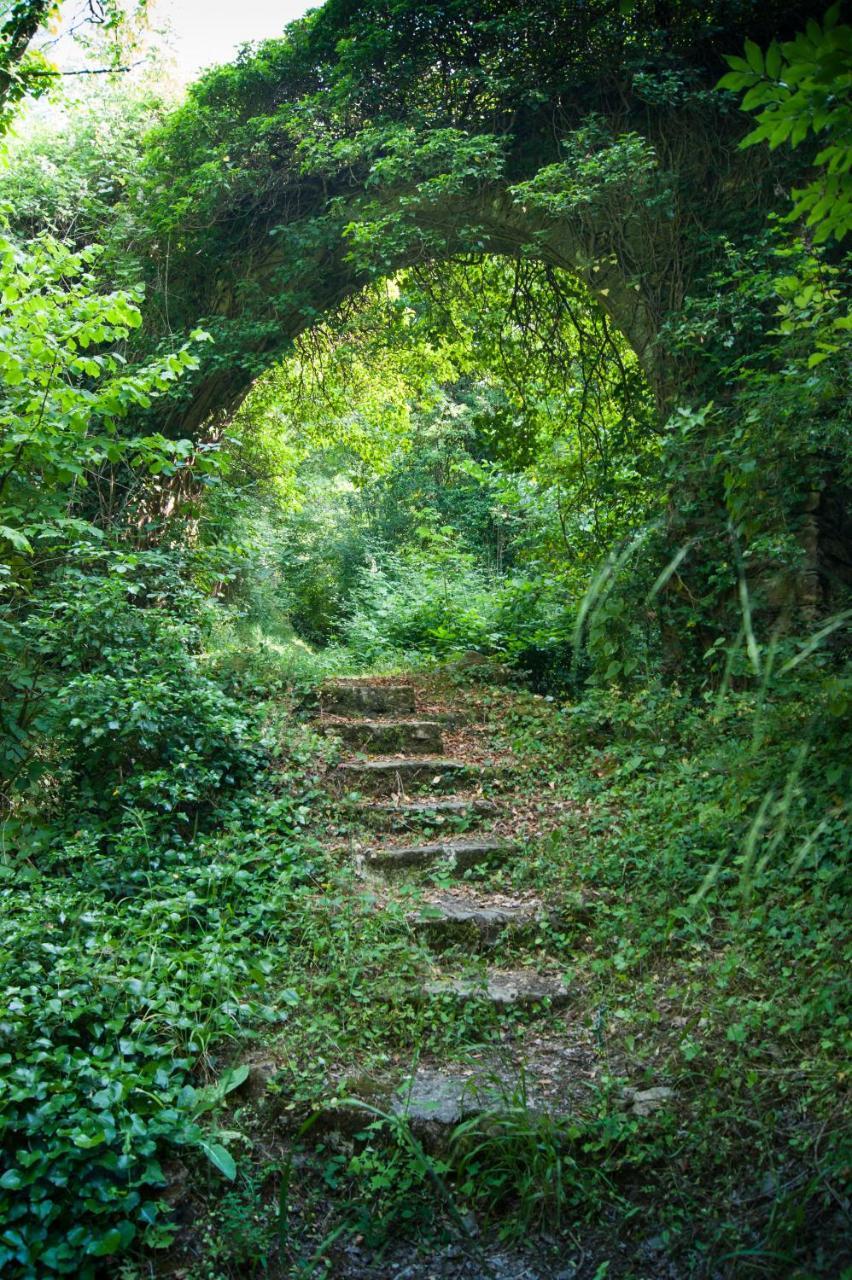 Bed and Breakfast Secret Gardens Borgomaro Exteriér fotografie